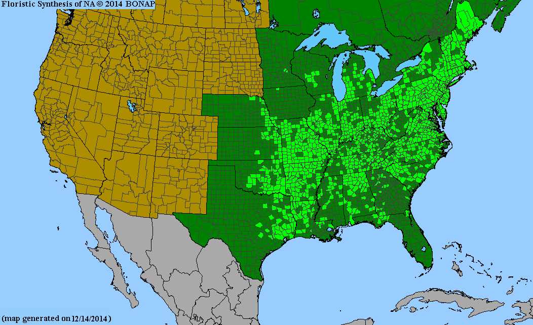 County distribution map of Carex albicans - White-Tinge Sedge